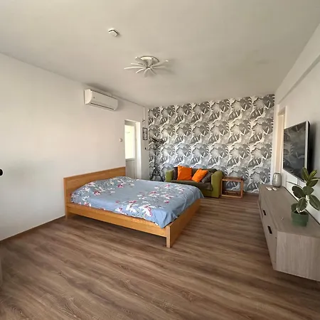 Apartment Apartament Stefan Cel Mare